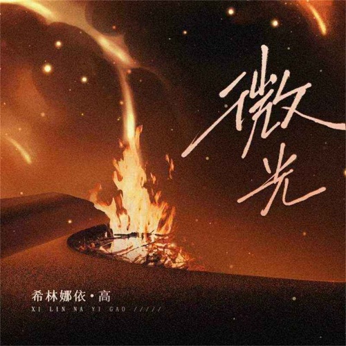 微光 – Single – 希林娜依高-无损音乐