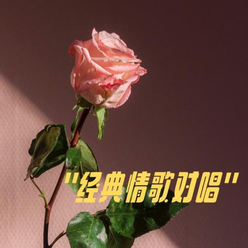 经典歌对唱 – 群星 [5.1声道]-无损音乐