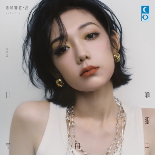 她眼中的月亮 – 希林娜依高-无损音乐
