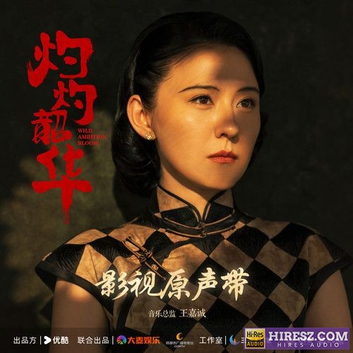 《影视原声带 嘉尤音乐》 Hi-Res无损专辑 [FLAC+分轨]-无损音乐