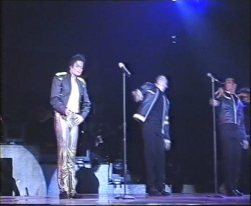迈克尔.杰克逊 《文莱皇家特别演唱会》 1996 演唱会 [DVD ISO 7.12G]-无损音乐