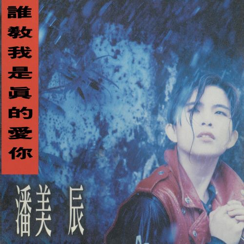 潘美辰 谁教我是真的爱你-无损音乐/蓝光演唱会