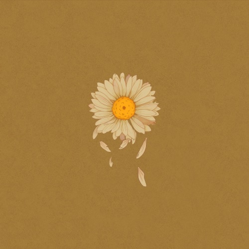 丑花:Daisy – EP – 柳爽-无损音乐