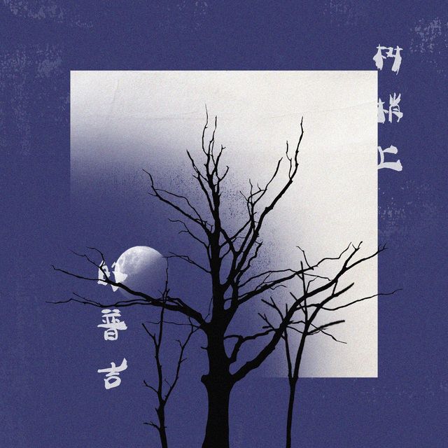 树梢上的普吉 – 摩登贝克/杨桐-无损音乐
