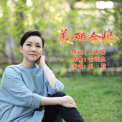 美丽合肥 – Single – 王莉-无损音乐