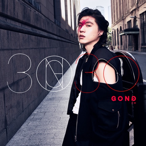 3030 – 宫阁-无损音乐