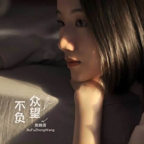 不负众望 – 陈婉菁-无损音乐