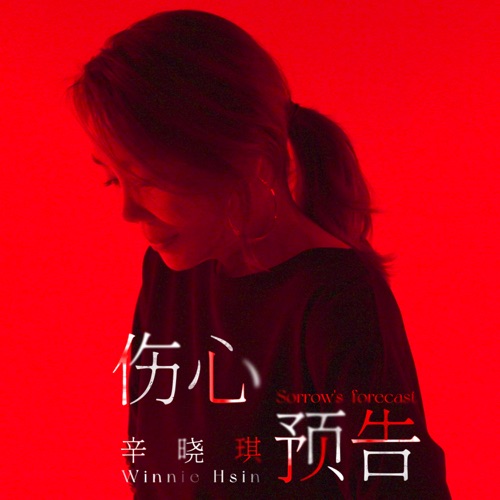 伤心预告 – Single – 辛晓琪-无损音乐