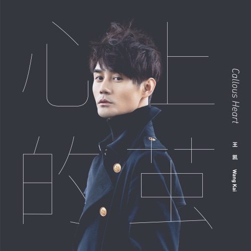 心上的茧 – Single – 王凯-无损音乐