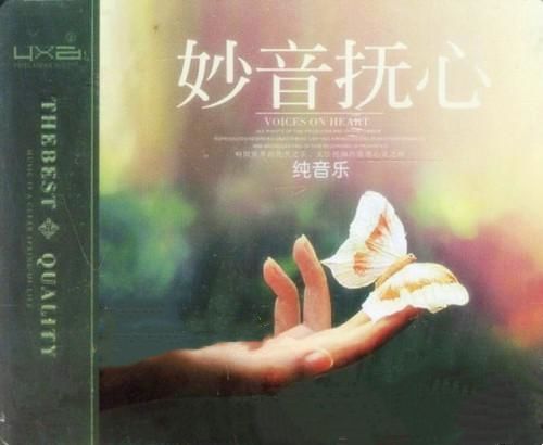 妙音怃心-纯音乐 2CD1 – 群星 [6.1声道]-无损音乐