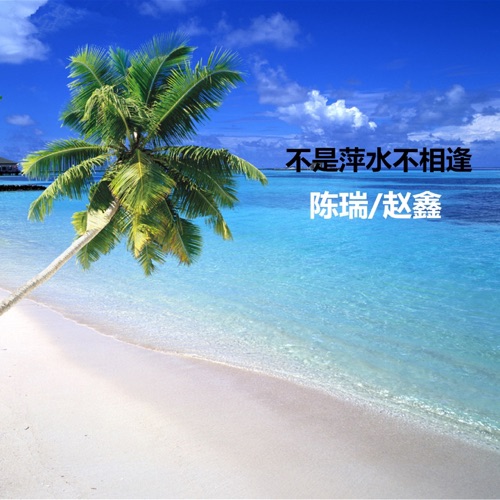 不是萍水不相逢 – Single – 陈瑞 & 赵鑫-无损音乐