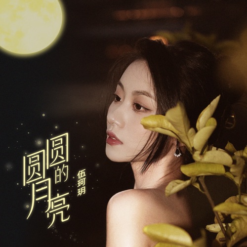 圆圆的月亮 – Single – 伍珂玥-无损音乐