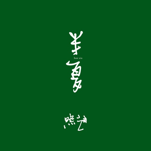 半夏 – Single – 赵照-无损音乐