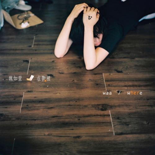 魏如萱单曲合辑-无损音乐/蓝光演唱会