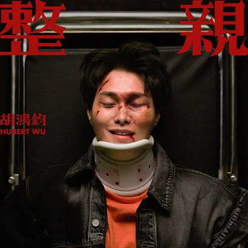 整亲 – Single – 胡鸿钧-无损音乐