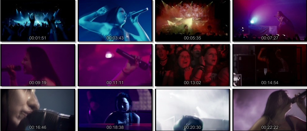伊凡·塞斯Evanescence:巴黎演唱会（DVD 《ISO4.36G》 演唱会 [DVD-ISO4.36G]