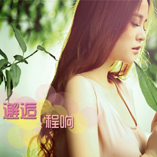 程响 邂逅-无损音乐