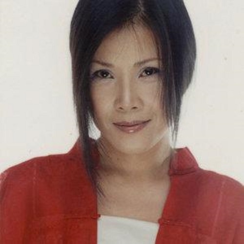 风雨彩虹铿锵玫瑰 – Single – 田震-无损音乐