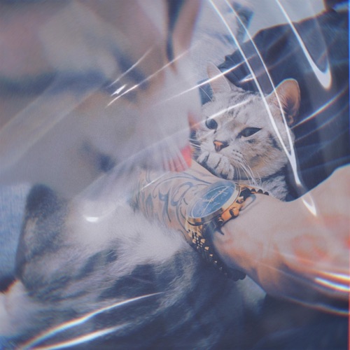 破例 – Single – TIGO-无损音乐