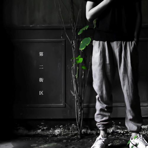 葛东琪 第二街区-无损音乐