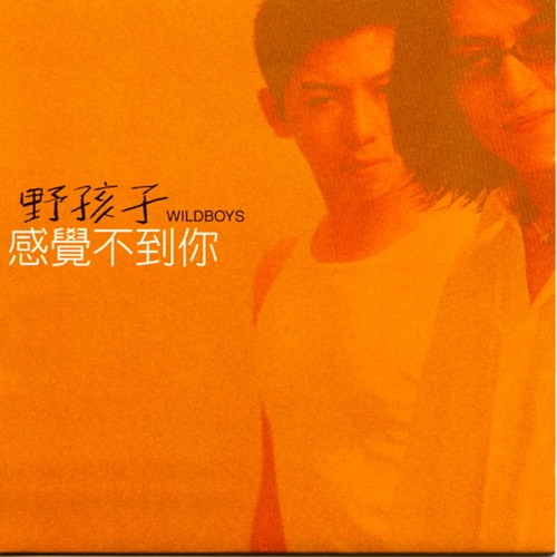 感觉不到你 – 羽·泉-无损音乐