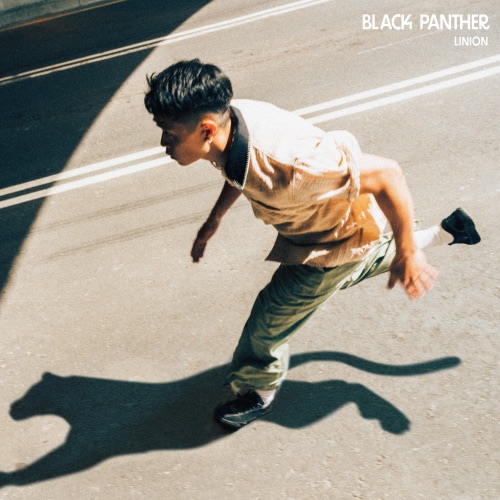 Black Panther – Single – LINION-无损音乐