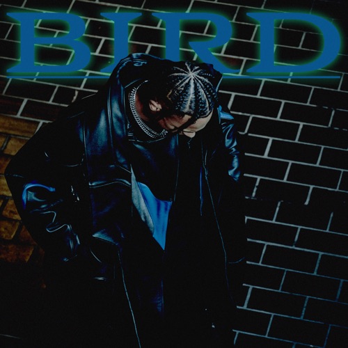 Bird – Single – Pronto-无损音乐