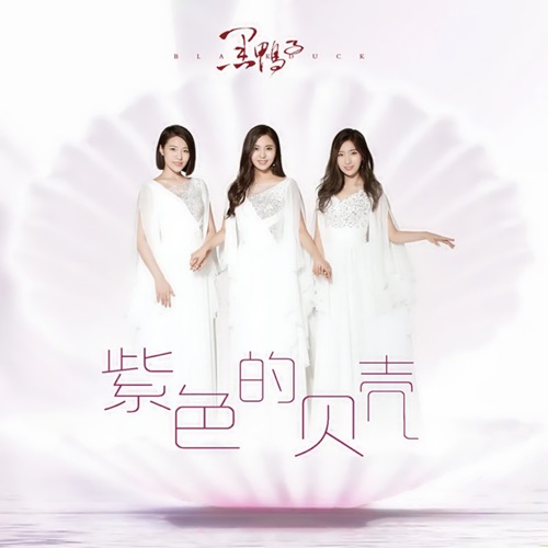 紫色的贝壳 – Single – 黑鸭子-无损音乐