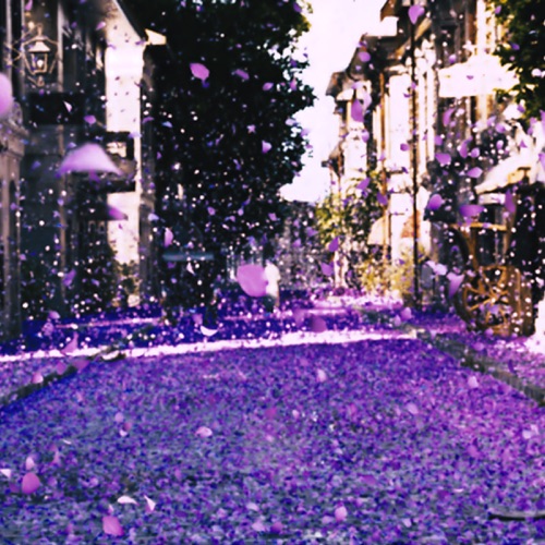 すみれになって – Single – Nasu Asaco-无损音乐