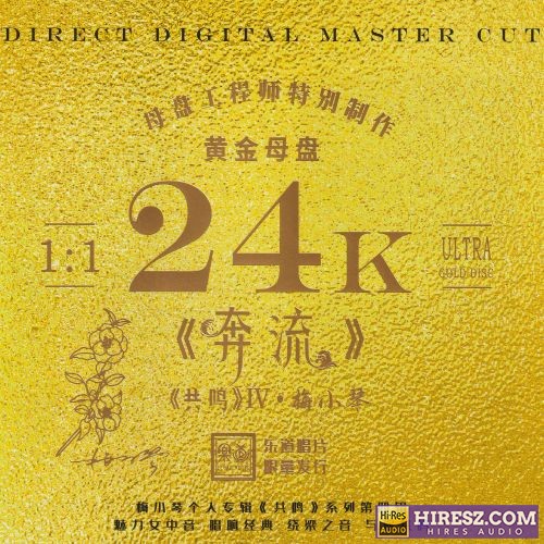 梅小琴.2024 -《奔流》头版限量编号24K黄金母盘[WAV+CUE]-无损音乐