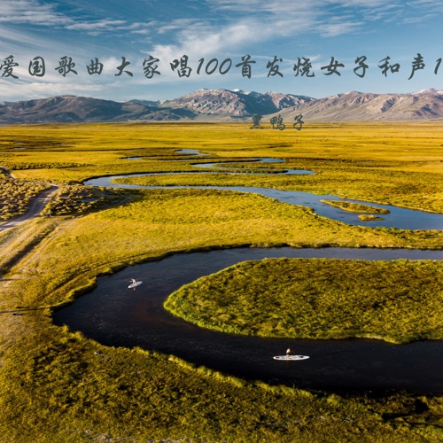 爱国歌曲大家唱100首发烧女子和声1 – 黑鸭子-无损音乐