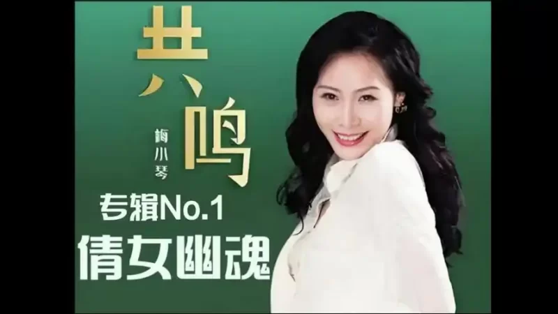 梅小琴-有谁共鸣24BIT-无损音乐