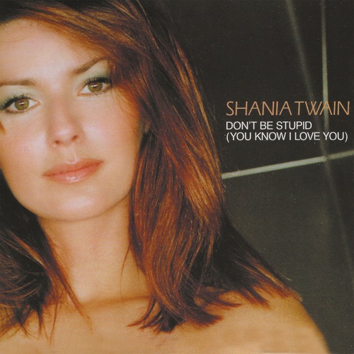 Don’t Be Stupid (You Know I Love You) – Single – Shania Twain-无损音乐