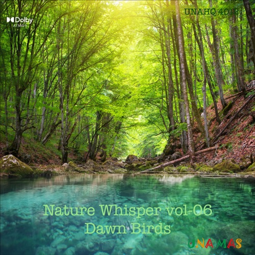 Nature Whisper vol06 Dawn Birds – Mick Sawaguchi-无损音乐