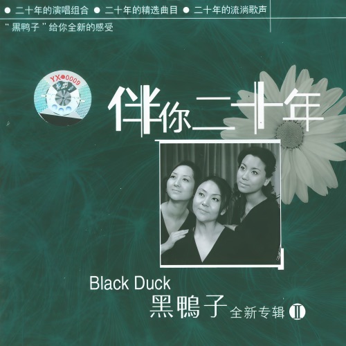 小白杨 – Single – 黑鸭子-无损音乐