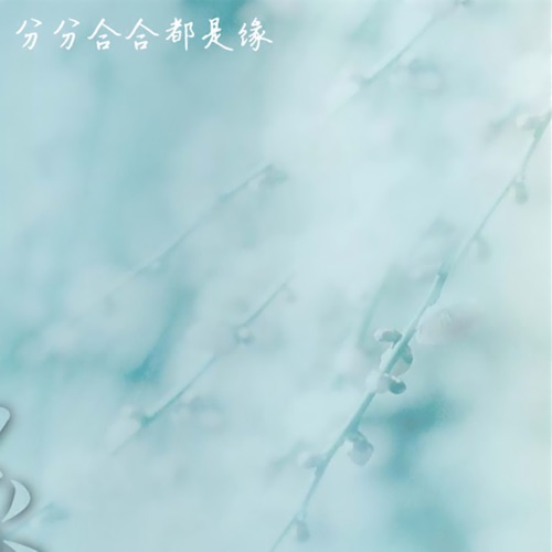 分分合合都是缘 – Single – 黑鸭子-无损音乐