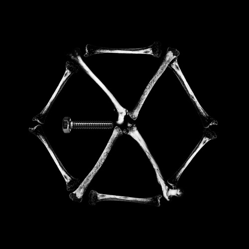 Monster (LDN Noise Creeper Bass Remix) – Single – EXO-无损音乐