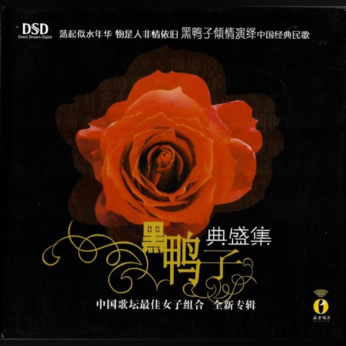 典盛集 – 黑鸭子-无损音乐