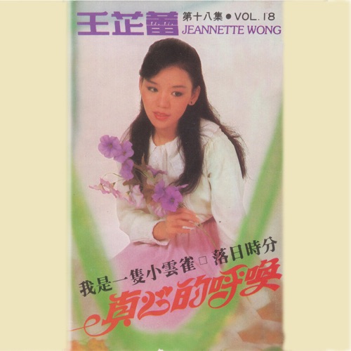 王芷蕾 vol.18 – 王芷蕾-无损音乐