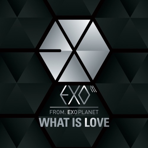 What Is Love (Chinese Version) – Single – EXO-M-无损音乐