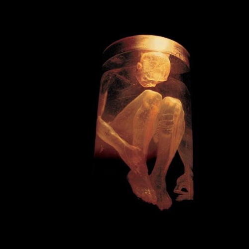 Nothing Safe: The Best of the Box – Alice In Chains-无损音乐