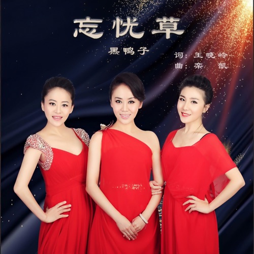 忘忧草 – Single – 黑鸭子-无损音乐