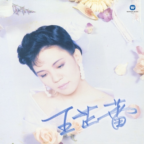 悲欢岁月 – 王芷蕾-无损音乐