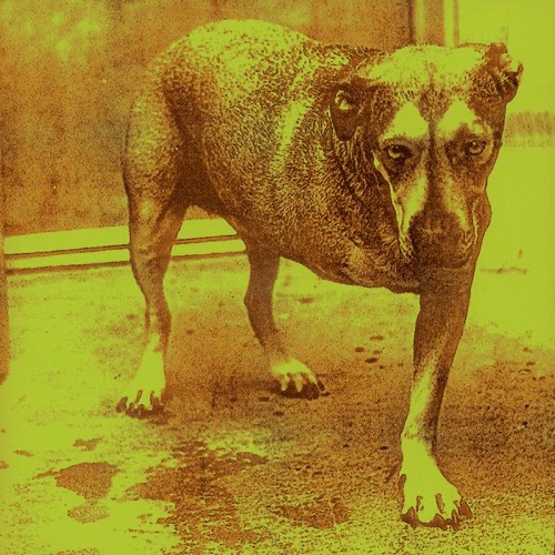 Alice In Chains – Alice In Chains-无损音乐