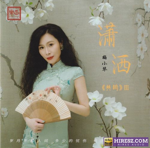 梅小琴.2024 -《潇洒》头版限量编号24K黄金母盘[低速原抓WAV+CUE]-无损音乐