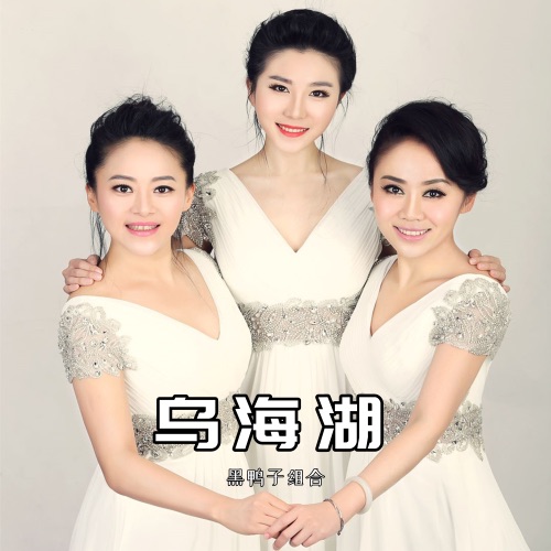 乌海湖 – Single – 黑鸭子-无损音乐