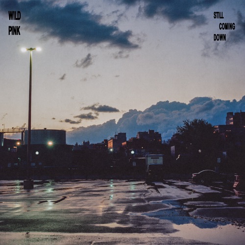 Still Coming Down – Wild Pink-无损音乐
