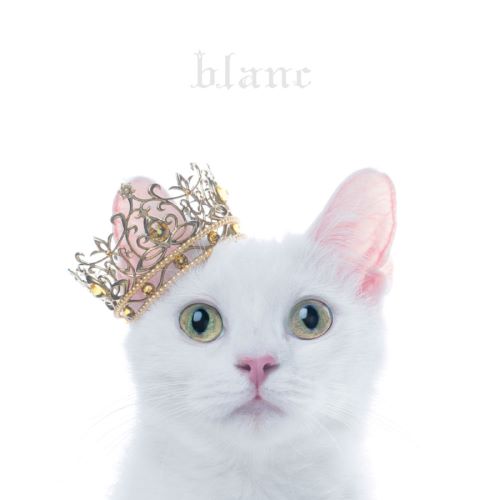 Aimer BEST SELECTION blanc-无损音乐