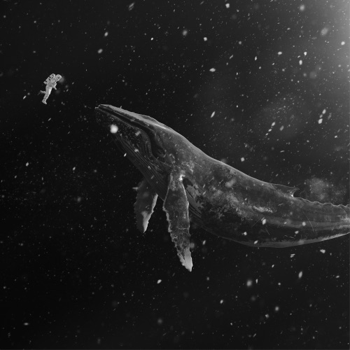 SING FOR YOU – Winter Special Album, 2015 – EXO-无损音乐