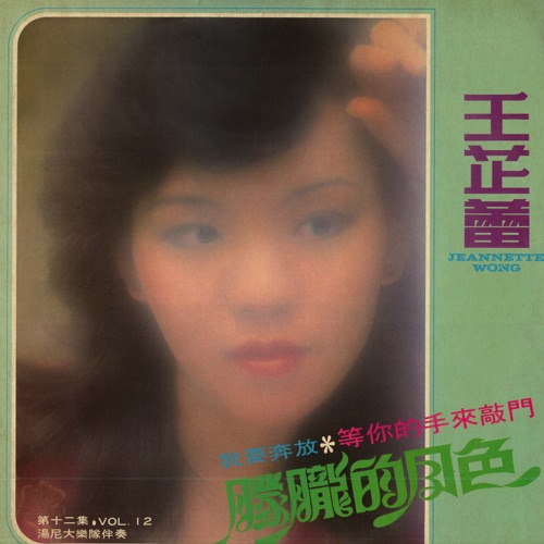 王芷蕾, Vol. 12: 朦胧的月色 (修复版) – 王芷蕾-无损音乐